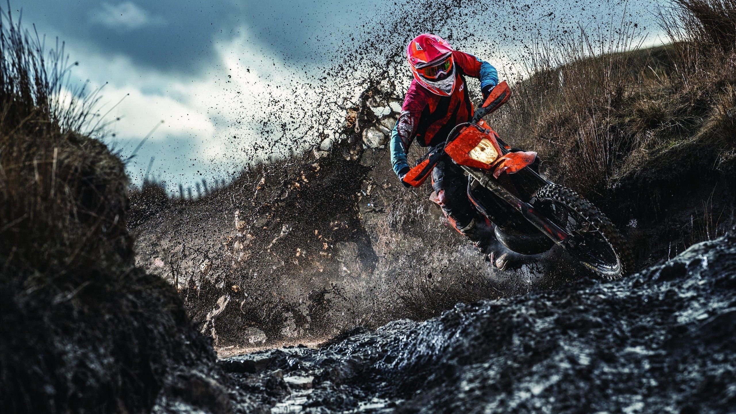 博涅克点出波兰双核本质，莱万与格利克性格迥异，却是场上最坚固的战争同盟